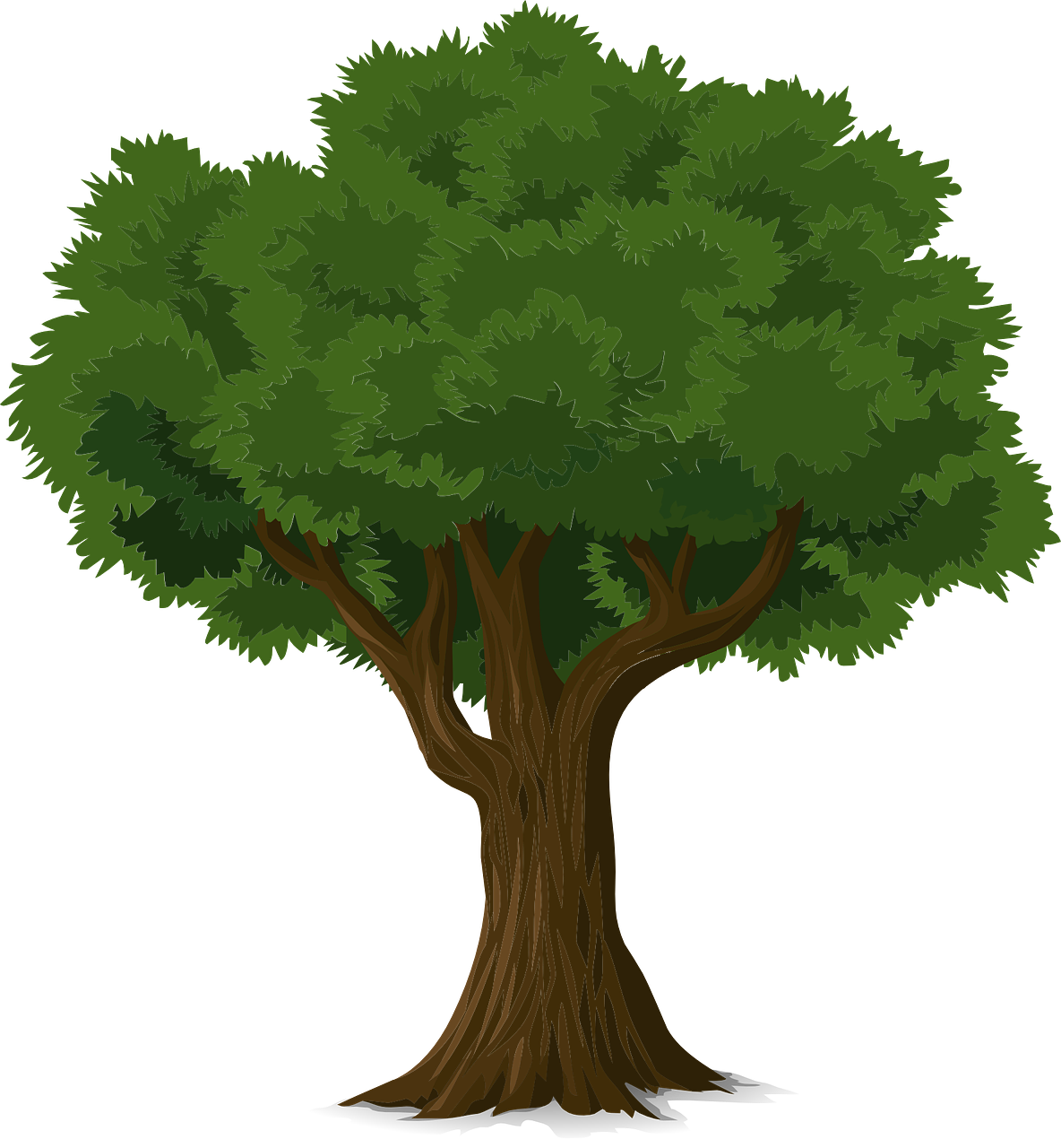 Server logo